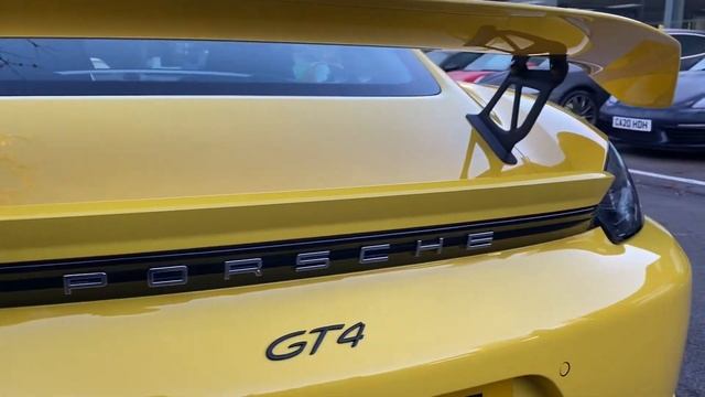 Wanderlust: A Passion For Wildlife