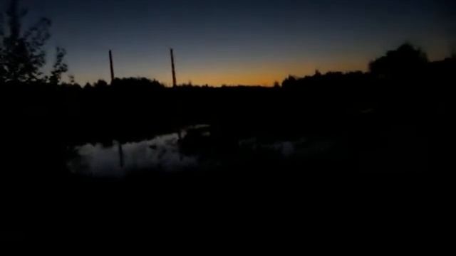 Ночные песни 🐸🐸🐸