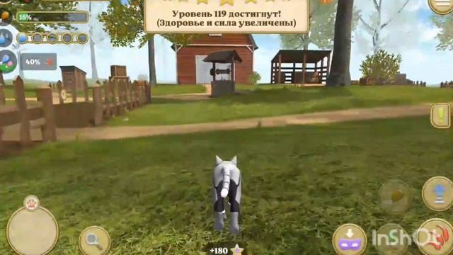 Cat (симулятор кошки)👍