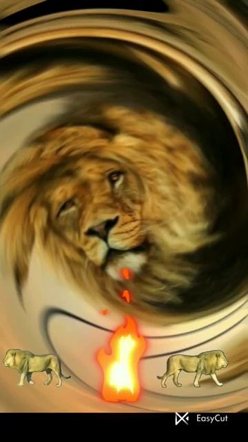 Lion King #shorts #youtube  Shorts #trending #viralvideos2023