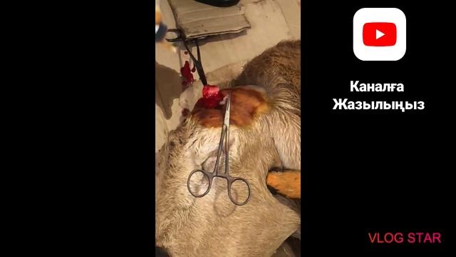 Ed271343c06f2f0efe63e2bae1084a98