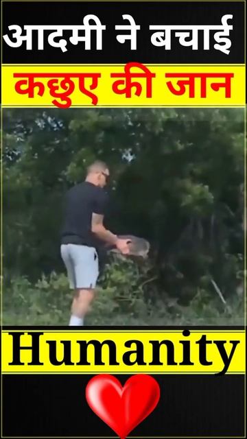 आदमी ने बचाई कछुए कि जान   😭😭  Man Saved Turtle  |  #humanity #shorts