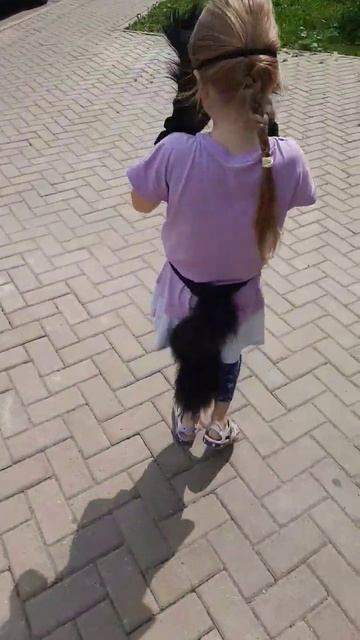 3f17584e601a78b770d2ed609b319898