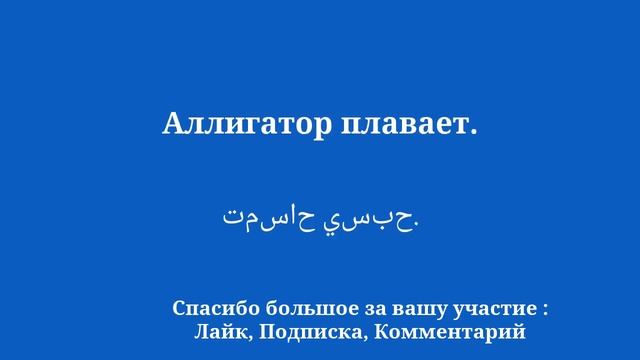 Изучайте арабский Путешествуйте с дикой природой: хамелеон, горилла