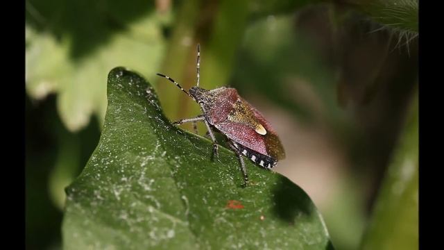 49b83e21d9eae14f4077dc62f12a51ad