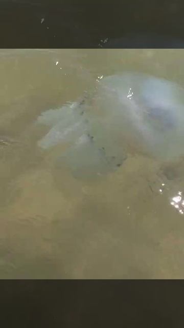 1d0ffe45869c5cb21ab5cb810cd0bbae