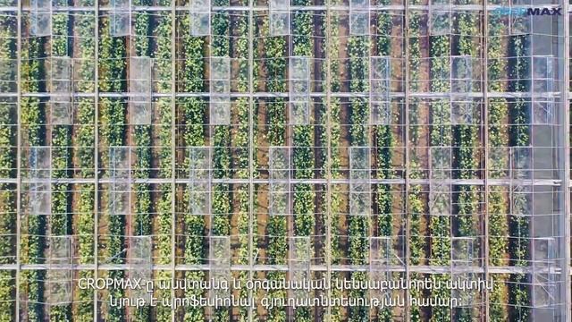CROPMAX ARMANIA