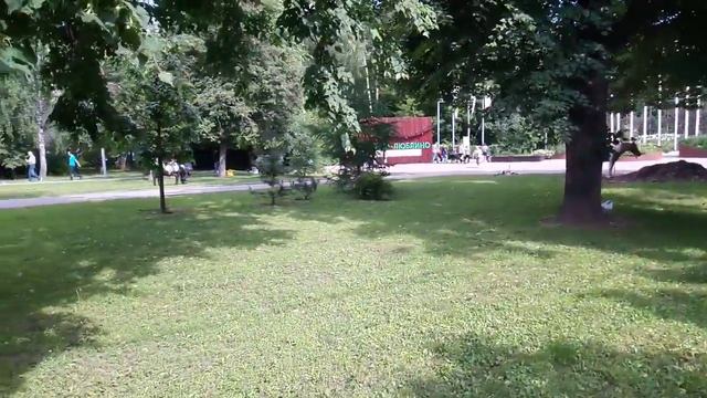 Прогулка на пони в парке