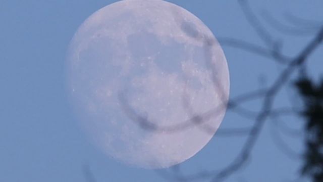 80fbe087145ecf5adbd8fbc2dc48eba4