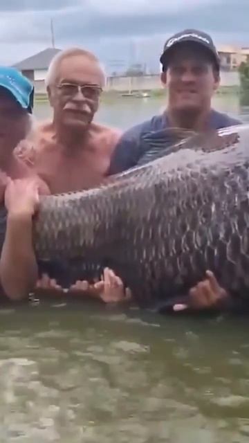 78fb62e2617ee06d10a923a85b635193