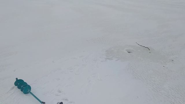 7b4950599cf5cb8b2dc0bc130d9ecc66