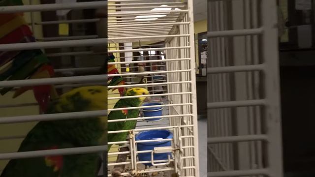 11/03/2020 Con Ket Nay Rat Khon Ne Cac Ban 40 Tuoi Roi