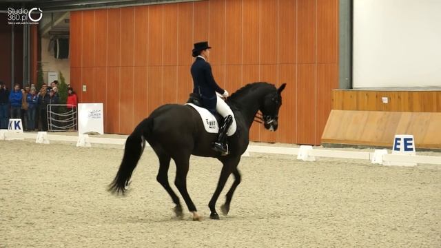 Beata Stremler - Rubicon D - Grand Prix Special - 73,647% - CDI*** Zakrzów 2015