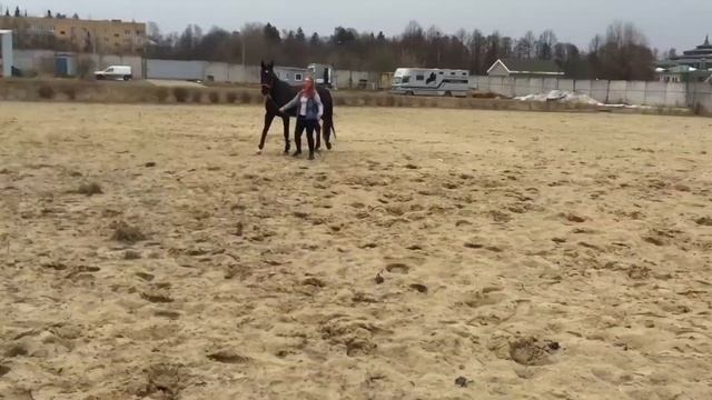 Лошадиная свеча по команде!!! Мы смогли!!! Коноблог Варя и Сапфира.