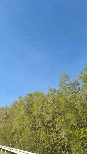 6645425822fe3bfc663fc05c63bccdc5