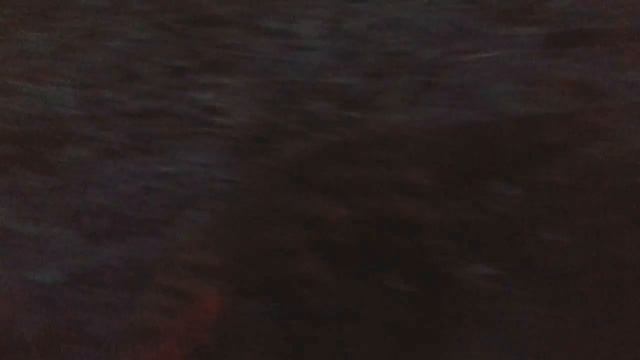 Prehistoric World Part 3, Доисторический мир