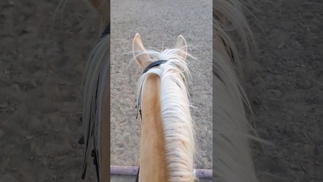 Рассвет с одной, а закат с другим!