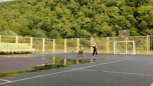 Баларис Десант. лагерь 2018