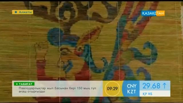 F1a1a910214bd3b30f9f7b7a5861491a