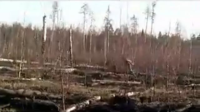 01aca943cf4655b2a427d0fdcd2851e9