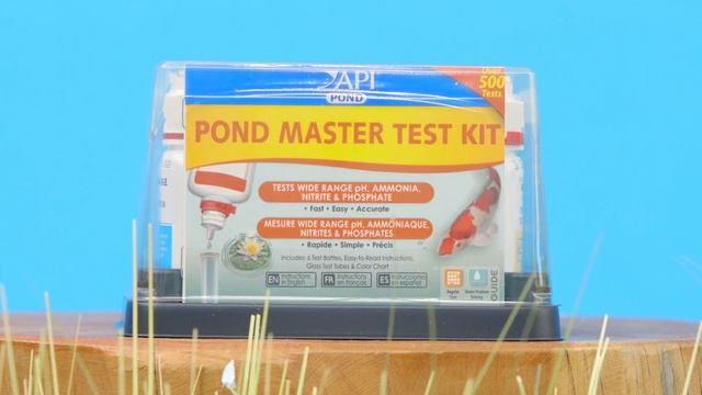 How To Maintain Your Garden Pond