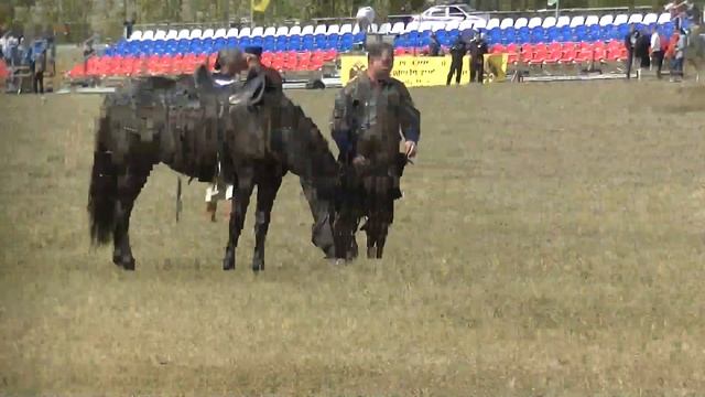 2018. КУЛИКОВО ПОЛЕ.