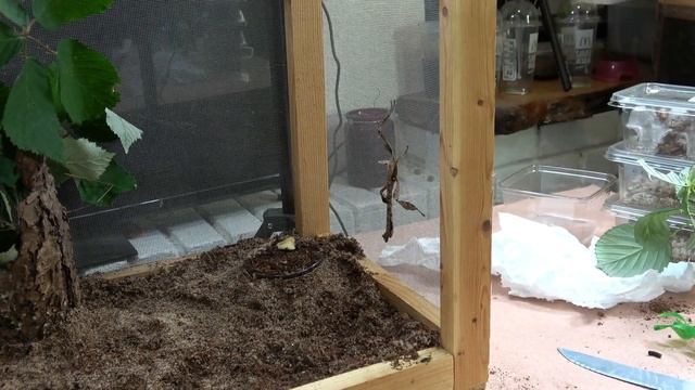 Bfdd051d04951637e95a7f11dd6ad22c