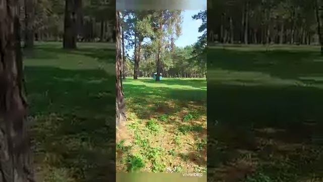 Выходной в Зенковском парке #Прокопьевск