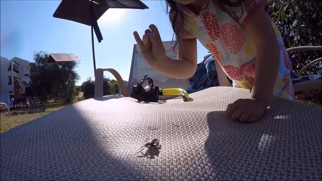 ДЕРЖИ КРАБА