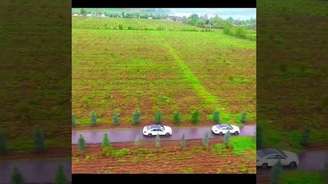 кардреж на свадьба