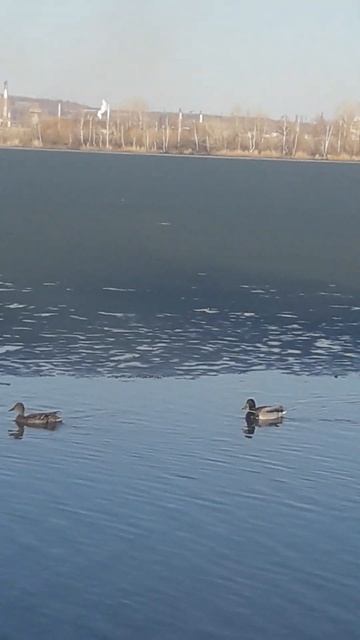 B0aee4d6be89e4cf5b27407740a80994