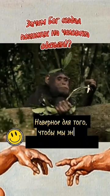 А как вы думаете? 🤣