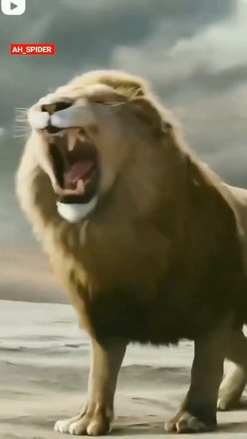 Tiger King Status _the Lion King Status _Attitude Status