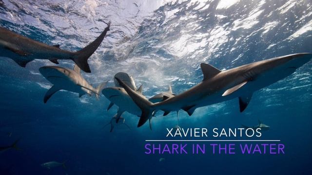 *RAP BANGER* Shark In The Water Instrumental By Xavier Santos GO HARD