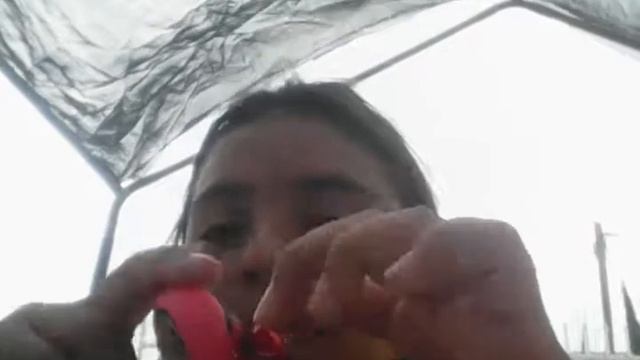 Haul Compritas 🌈 (leer Descripción)