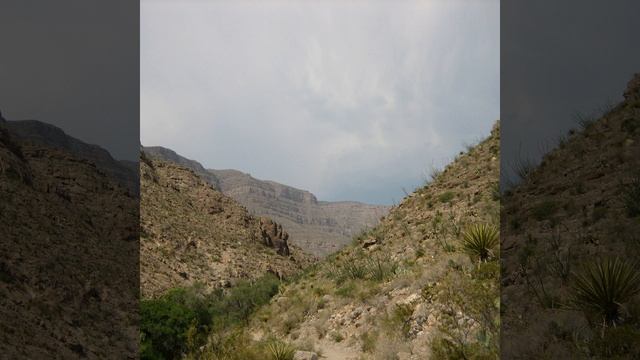 D90060a6b3ba3d143fbbf74acf86a56b