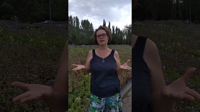 Похудела и переезжаю, присоединяйтесь