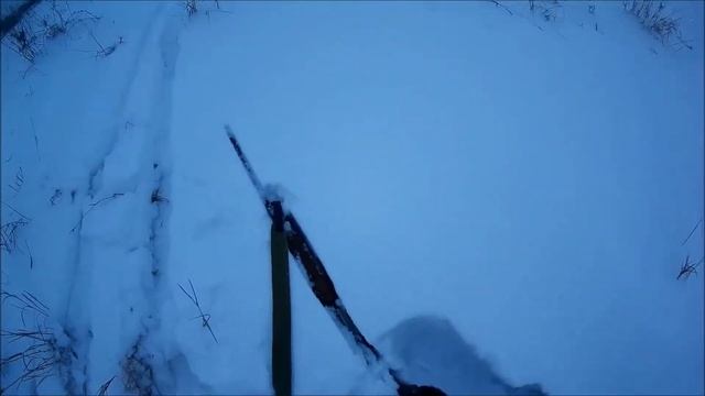 Охота на Зайца 