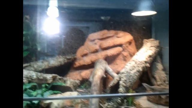 682b7e13744d72918b93ebd898d02d95