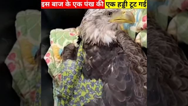 F73ce066e4e5346d5011bc46c664da85