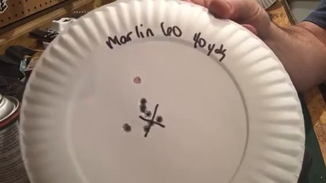 Ruger Vs Marlin 22lr