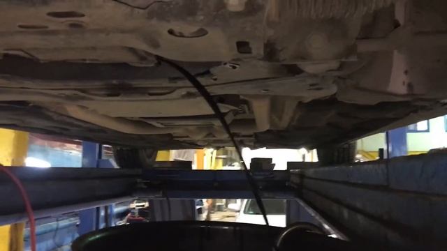 Растения и их преимущества