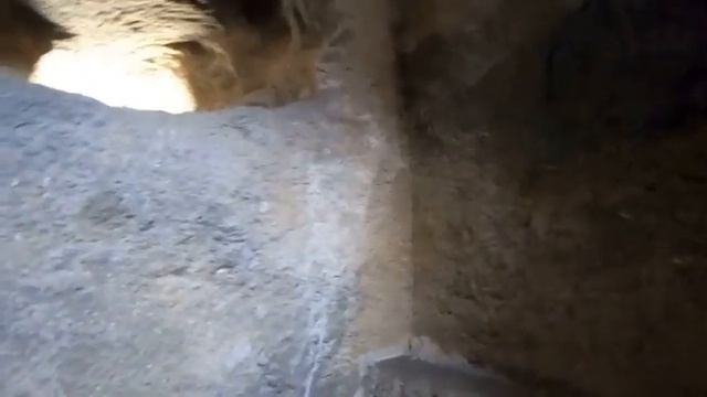 SECRET CHAMBER  AT HARIHAR GAD   FORT   TRIMBAKESHWAR NASHIK हरिहर गड ‘हर्शगड’