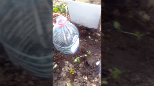 22 апреля 2024 г.