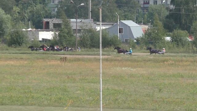 1 Раменский ипподром 4.08.2018 - ПРИЗ РАМЕНСКОГО ИППОДРОМА - 1 гит