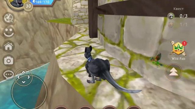 Баг в логове замок в игре WildCraft!