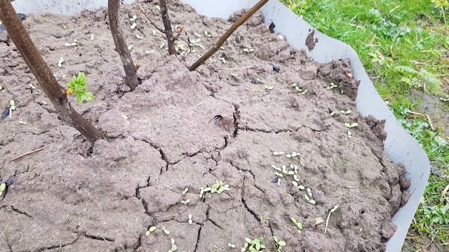 2d3acec2537fde6497d568a3b1a63e2f