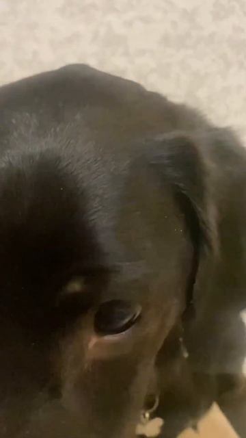 36c9c877a850f37015dec5170e066de2