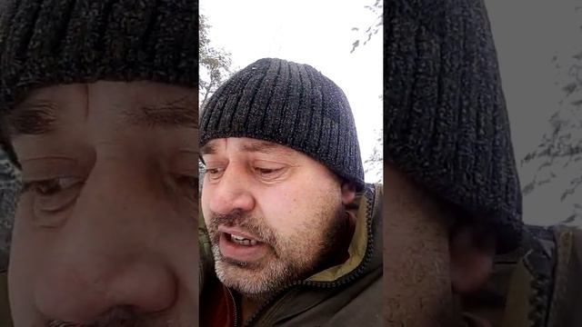 ЛЕС и РАССКАЗЫ.