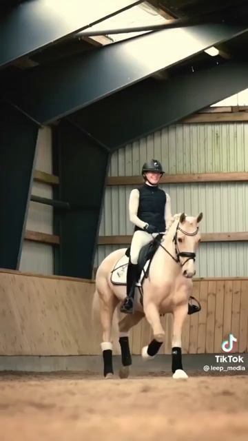 Beautiful ❤️✨ #equestrian #horses #лошади #выездка #эдит #dressage #эстетика ✨💕